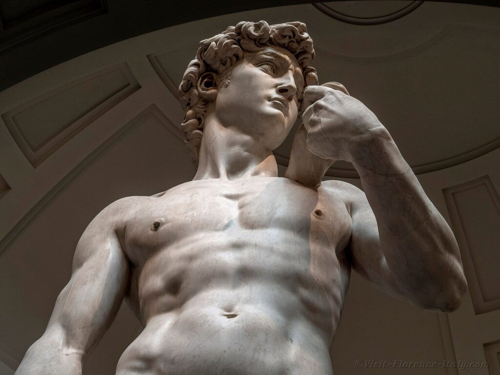 Michelangelo's Statue of David is unveiled