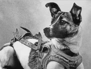 Soviet Union launches first animal into space