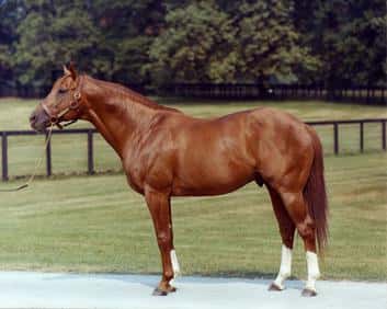 Triple Crown horse Secretariat was purchased for a record $5.7m