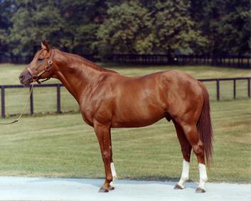 Triple Crown horse Secretariat was purchased for a record $5.7m