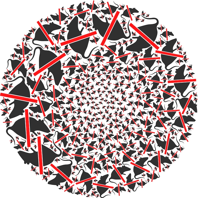 Bramble Cay melomys declared extinct thanks to climate change