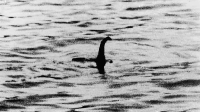 Loch Ness monster reported