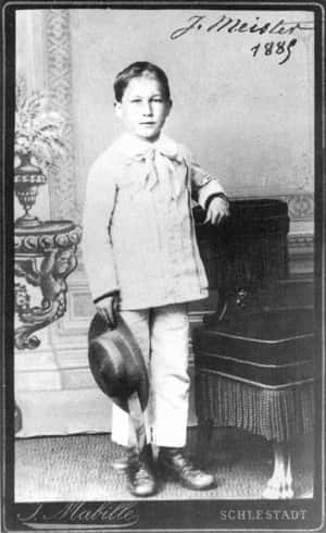 The Administration of the First Successful Rabies Vaccination