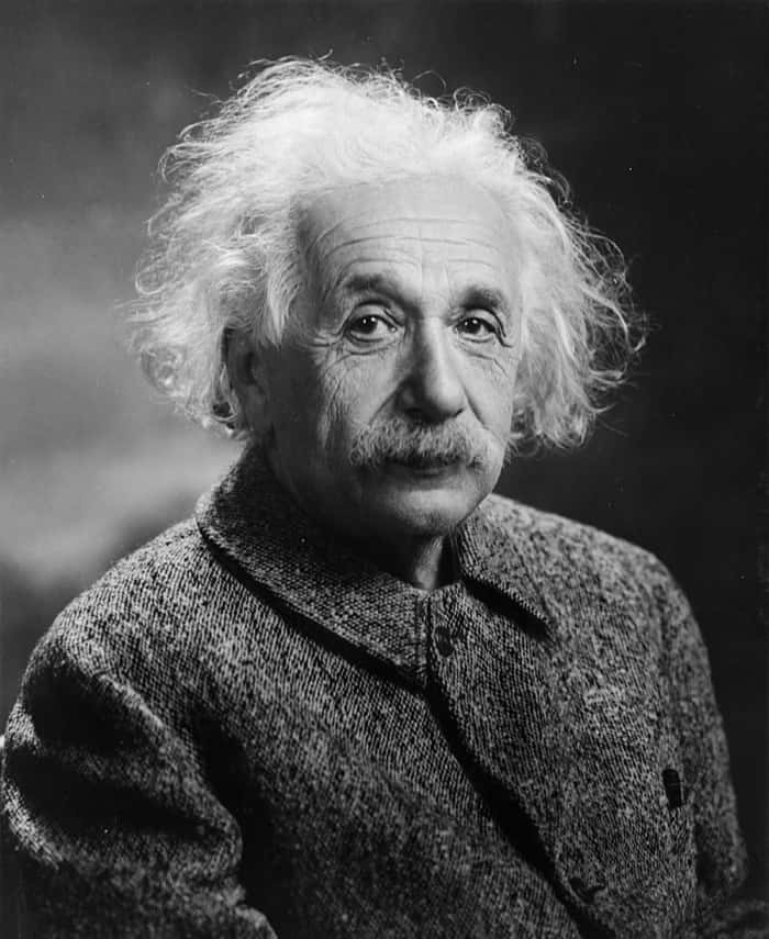 Albert Einstein Was Born